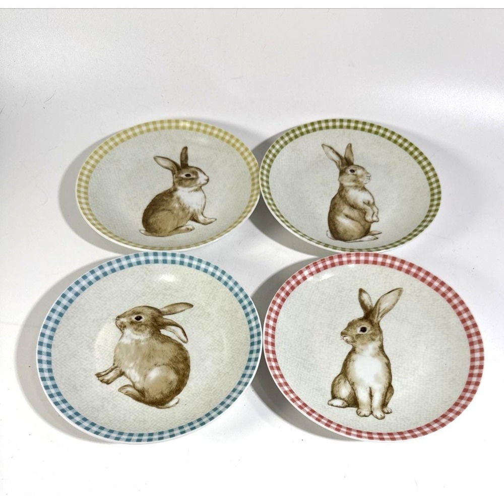 222 Fifth Bunny Land Rabbit Gingham Edge Salad Plates 8.5" Set Of 4
